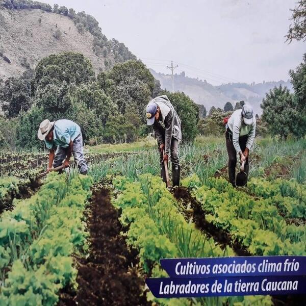 Sobre Nosotros
